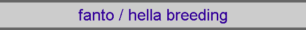 fanto / hella breeding