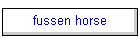 fussen horse