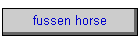 fussen horse
