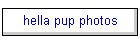 hella pup photos