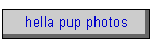 hella pup photos