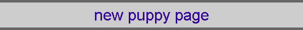 new puppy page